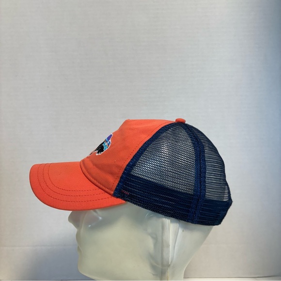 Patagonia Snapback Fitz Roy Bison Mesh Trucker Hat Spring Pink & Blue Unisex - Picture 3 of 9